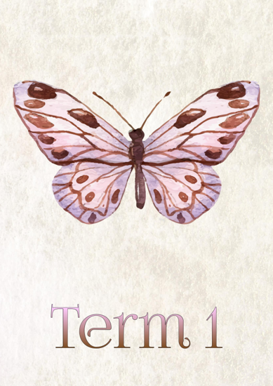 Watercolour Butterflies - Term 1
