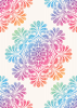 Back Cover - Colourful Floral Design